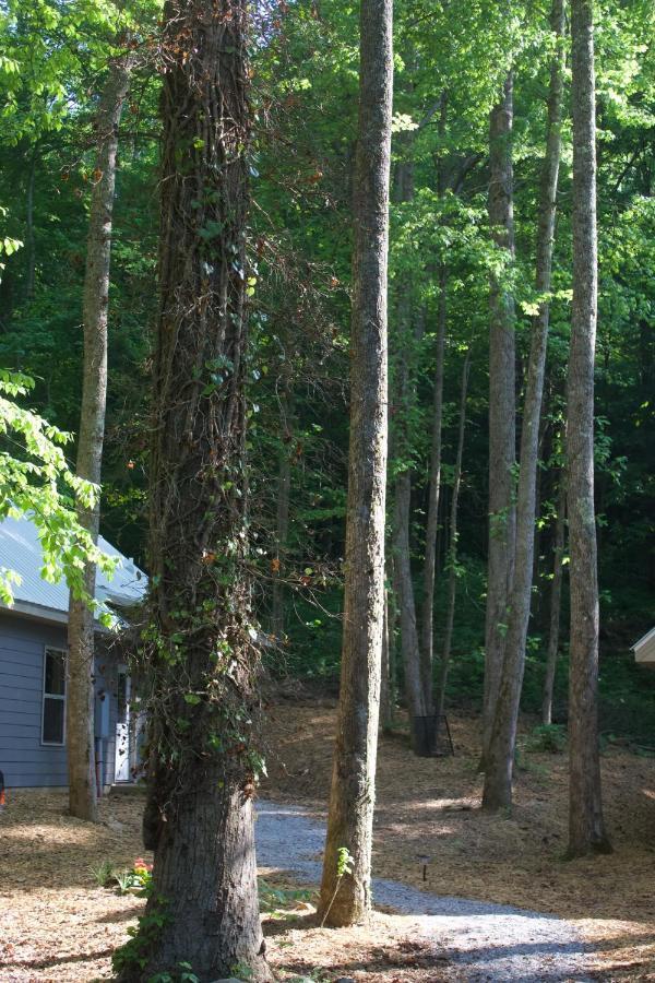 Villas At Gingershack Farms Ellijay Exterior foto